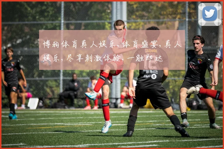 博狗体育真人娱乐,体育盛宴,真人娱乐,尽享刺激体验,一触即达